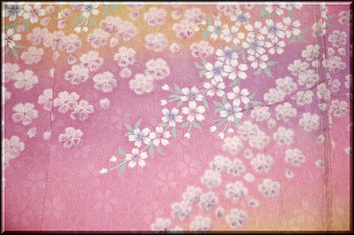 画像2: ■華やか ピンク色 上品ボカシ 桜尽くし 振袖■