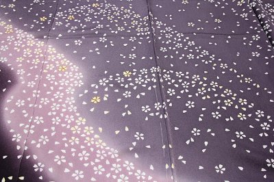 画像1: ■「桜尽くし」 ボカシ 日本の絹 丹後ちりめん 落款入り 訪問着■