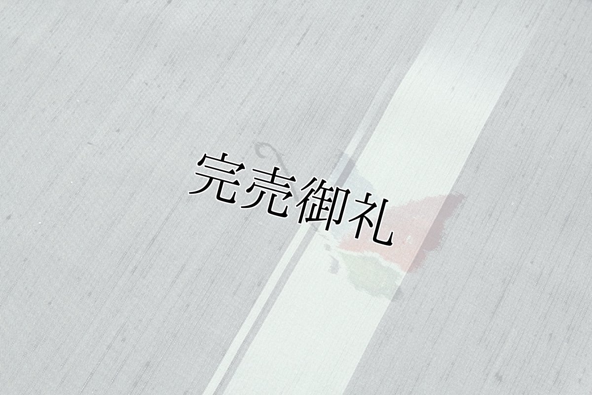 画像4: ■蝶々柄 粋でオシャレな 正絹 紬■ (4)