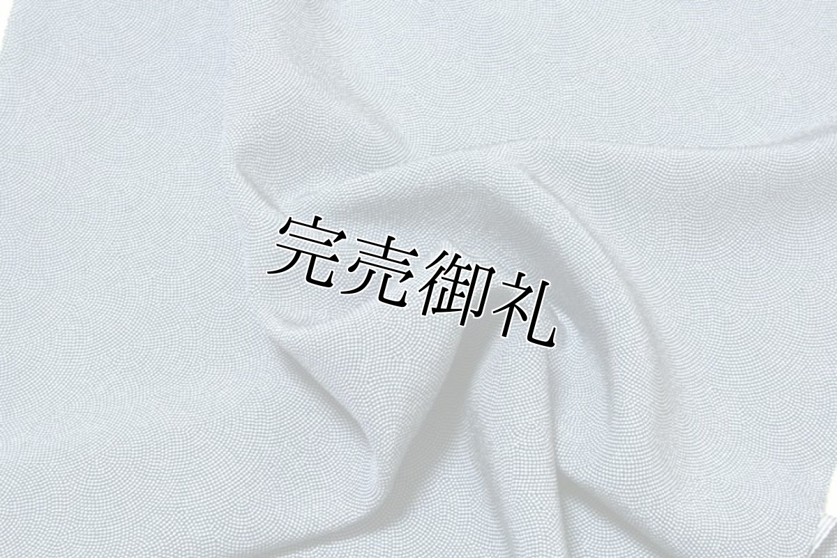 画像4: ■「重要無形文化財彫型写」 日本の絹 丹後ちりめん生地使用 青海鮫に万筋 単衣にも最適 伝統工芸 伊勢型両面 江戸小紋■ (4)