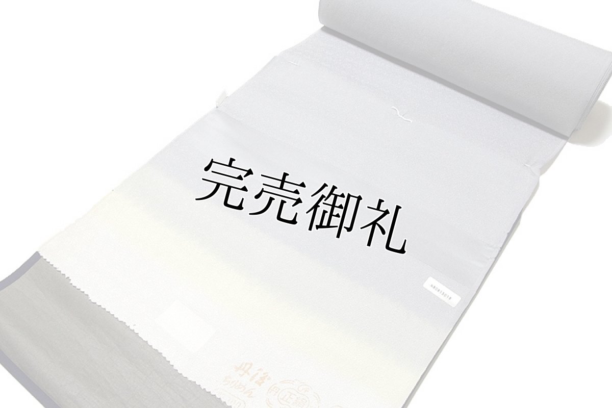 画像2: ■「丹後ちりめん」 地紋 正絹 四丈 色無地■ (2)