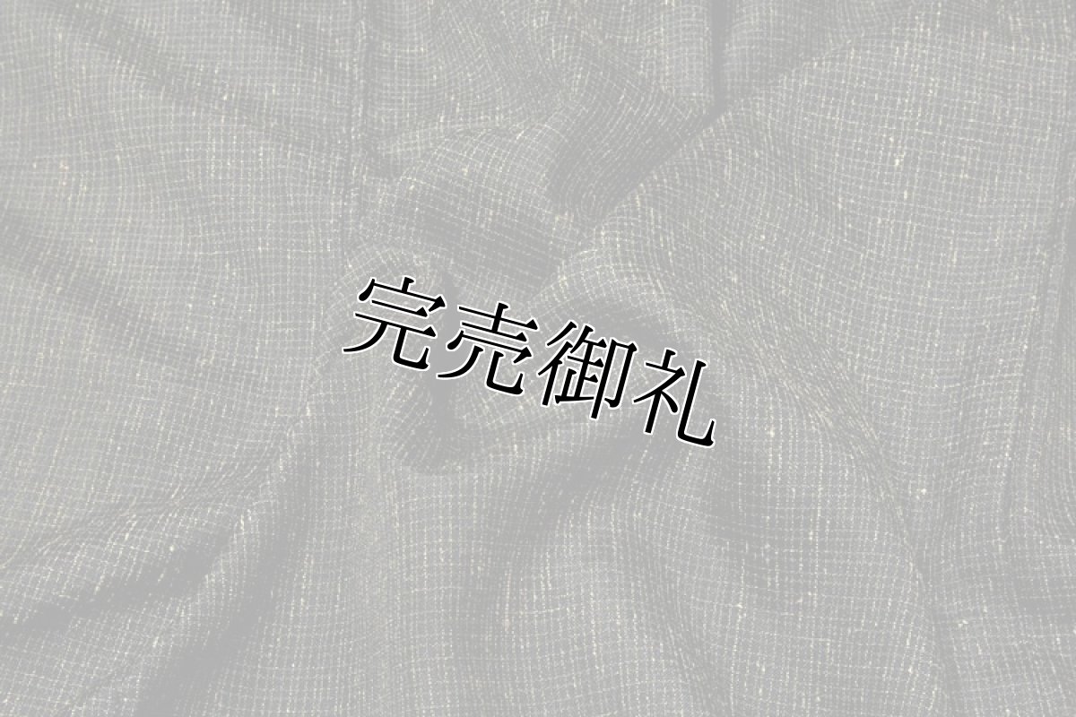 画像2: (訳ありアウトレット品)■「仕立て上がり」 オシャレ 男物 正絹 夏紬■ (2)