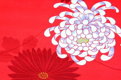 画像3: ■「日本製」 乱菊 赤色系 浴衣■