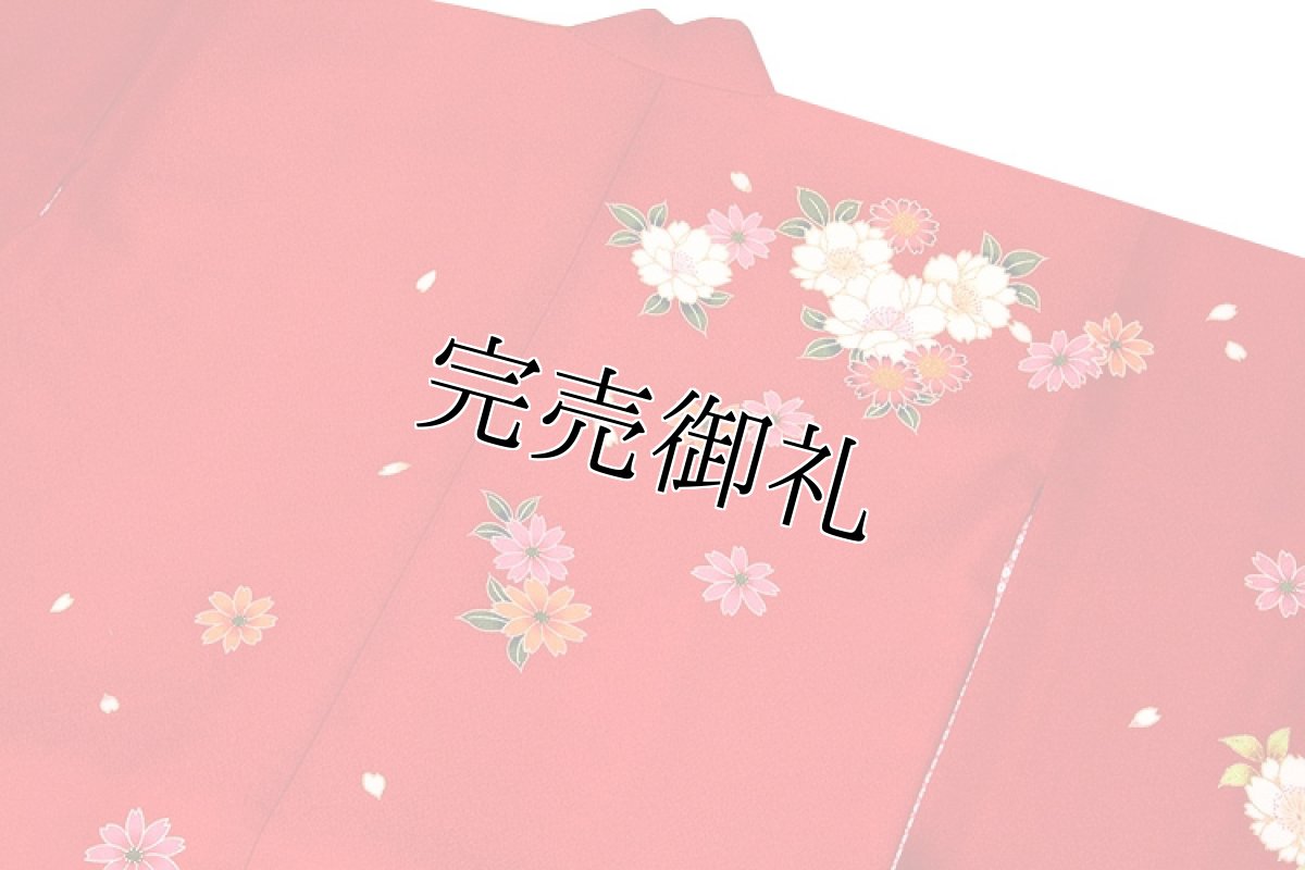 画像7: ■可愛らしい赤色系 花模様 絵羽柄 煌びやかな金彩加工 地模様入り 女児七才 四ッ身 七五三 着物■ (7)