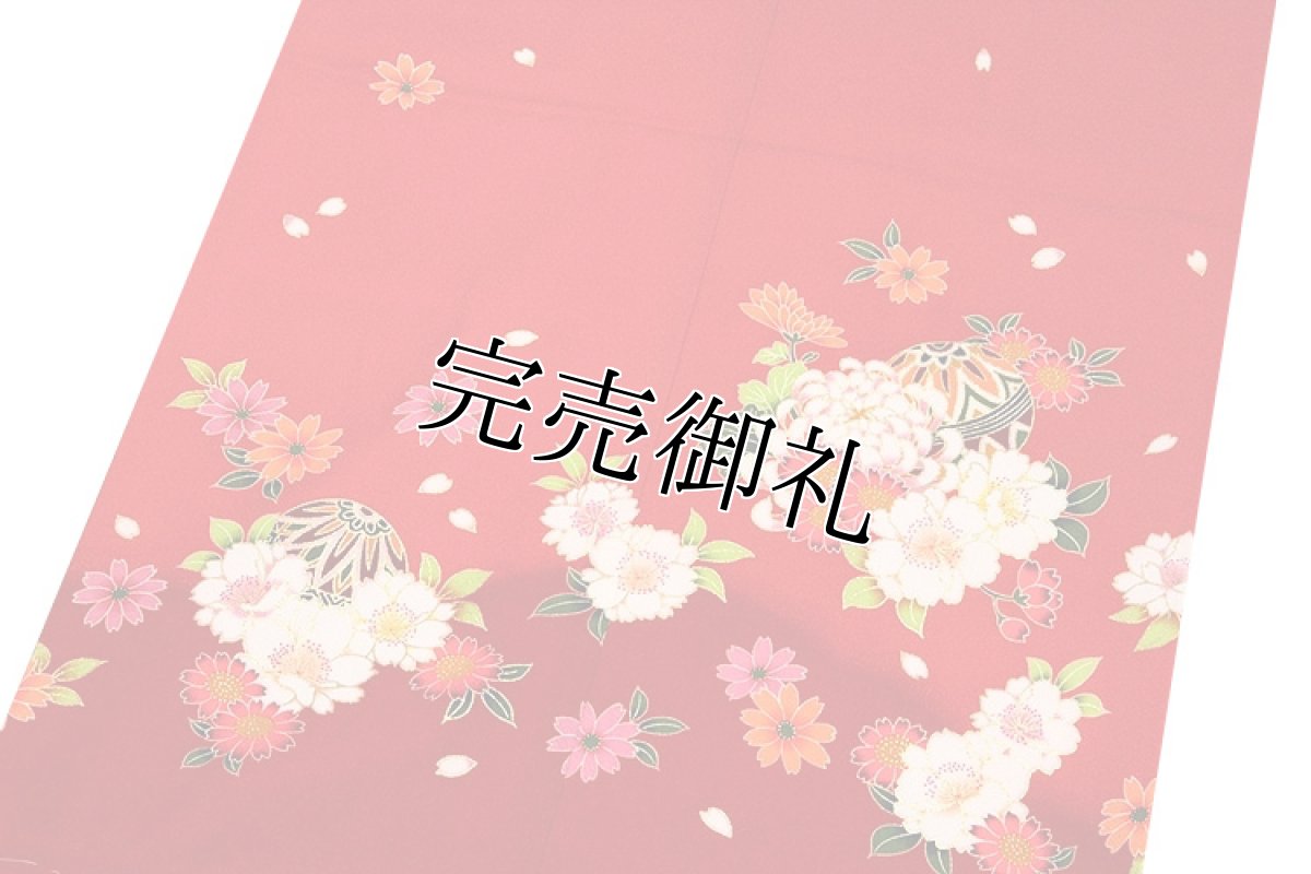 画像6: ■可愛らしい赤色系 花模様 絵羽柄 煌びやかな金彩加工 地模様入り 女児七才 四ッ身 七五三 着物■ (6)