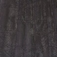 画像4: ■喪服帯 夏物 絽 京都西陣織 老舗 川端謹製 黒共帯 黒色 九寸 正絹 名古屋帯■ (4)