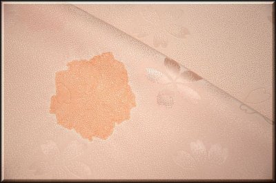 画像3: ■絞り入り 可愛らしい桜柄 長襦袢■